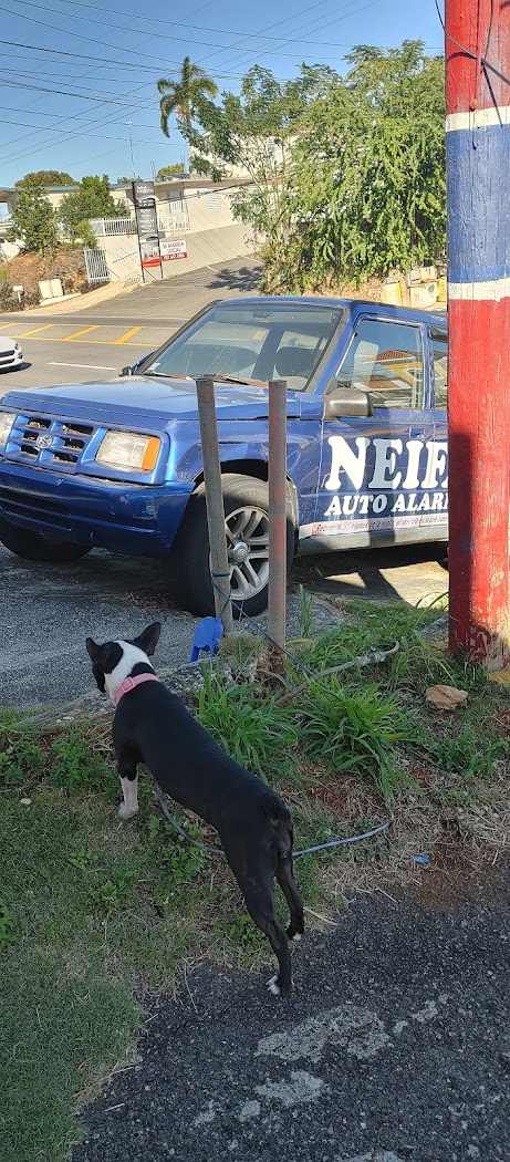 NEIFA ALARMS KEYS